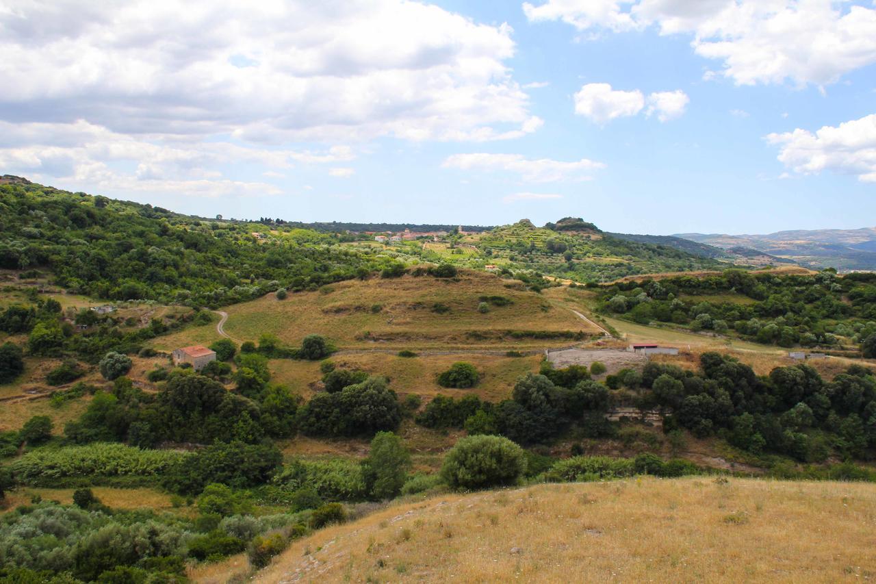 Antas Bed & Breakfast Padria Bagian luar foto