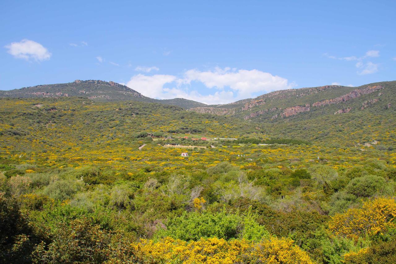 Antas Bed & Breakfast Padria Bagian luar foto